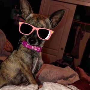 Meet your Posher, Diana